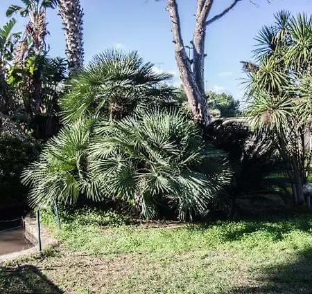 Casina Delle Arti Bed & Breakfast San Cataldo (Apulia)